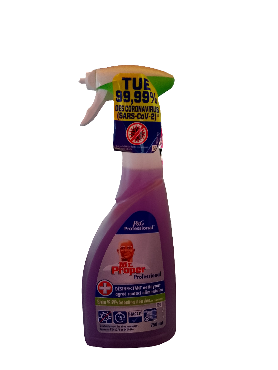 Mr Propre Professionnel