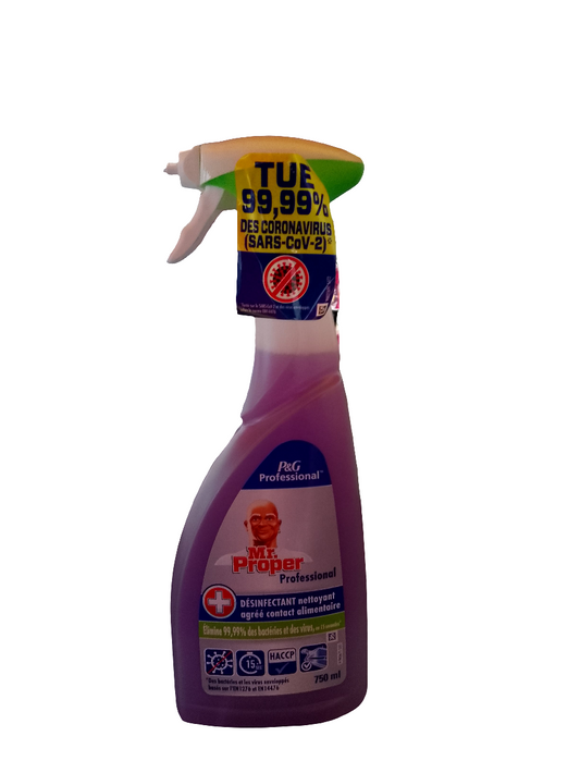 Mr Propre Professionnel